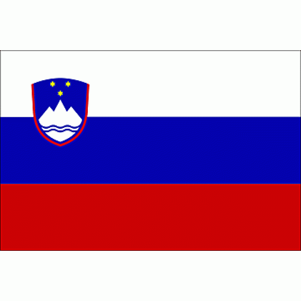 Slovenia flag 600x600